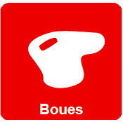 Boues