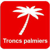 Troncs Palmiers