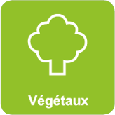 Végétaux